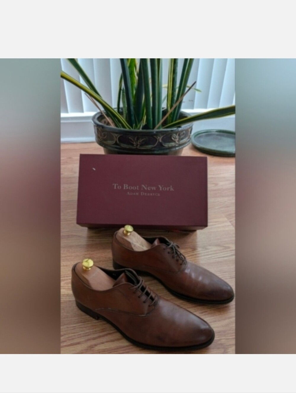 To Boot New York Adam Derrick Men's Brown Leather Oxfords